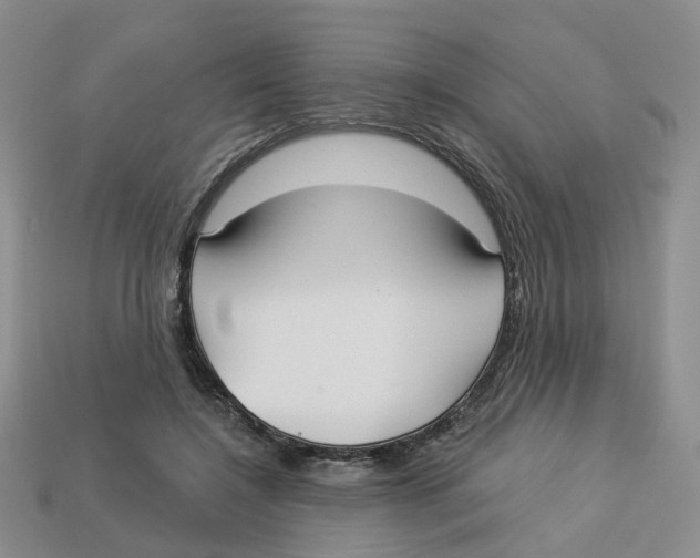 X0000113180548200910021545