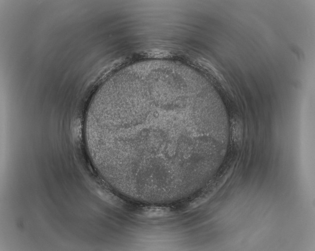 X0000113180549200910021545