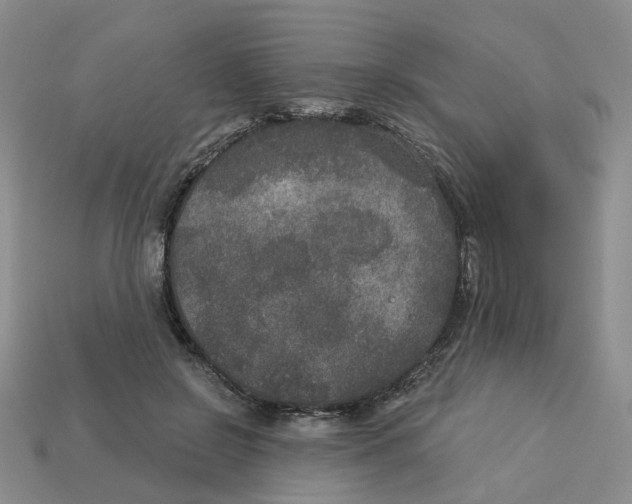 X0000113180550200910021545