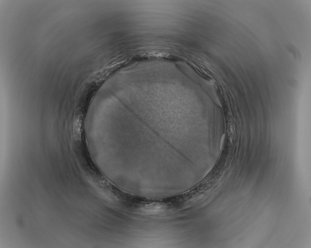 X0000113180551200910021545
