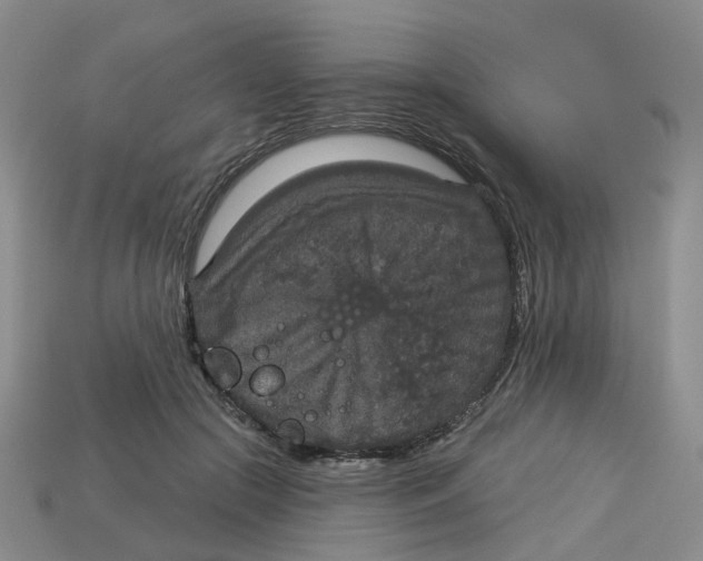 X0000113180553200910021545