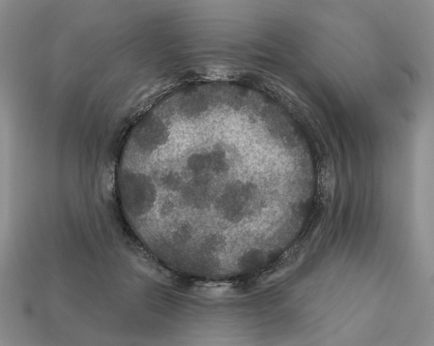 X0000113180554200910021545