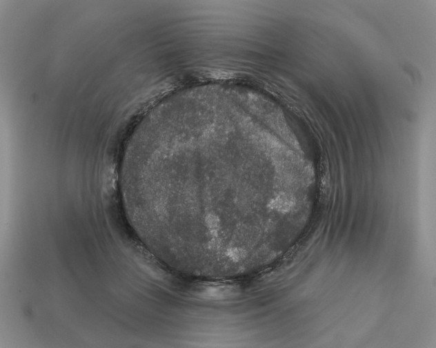 X0000113180555200910021545