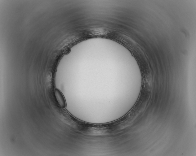 X0000113180556200910021545