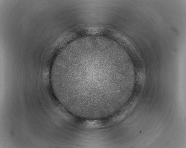 X0000113180557200910021545