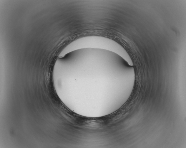 X0000113180558200910021545