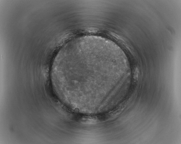 X0000113180559200910021545