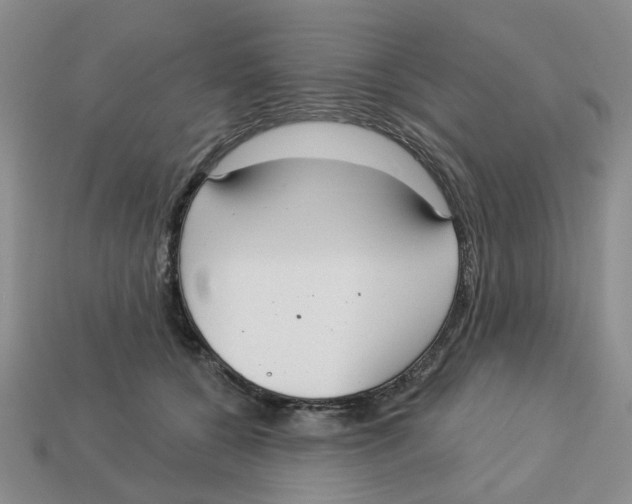 X0000113180560200910021545