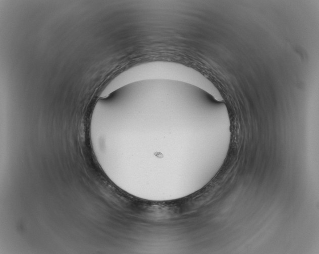 X0000113180562200910021545