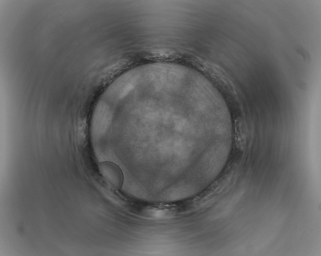 X0000113180563200910021545