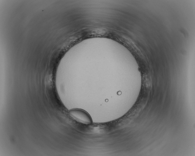 X0000113180564200910021545