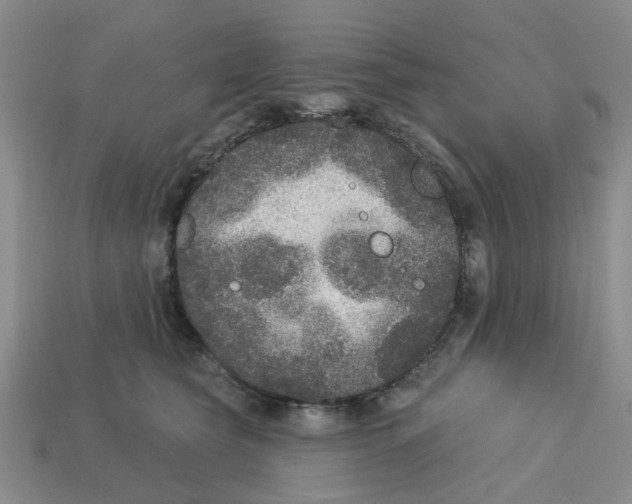 X0000113180565200910021545