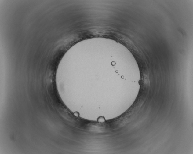 X0000113180567200910021545
