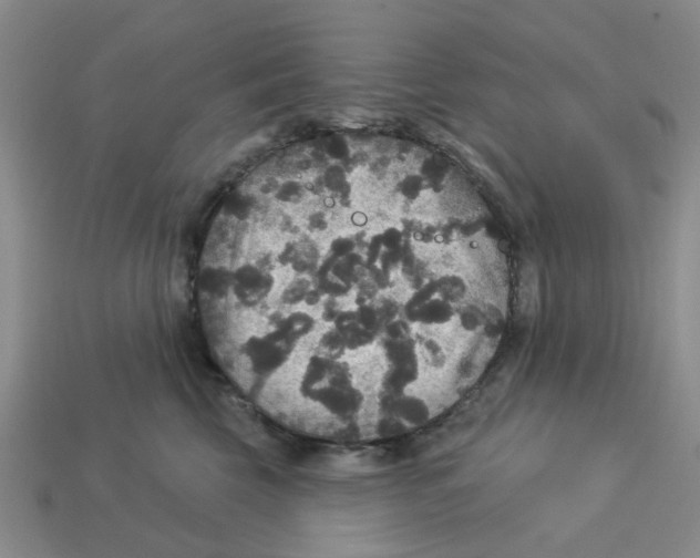 X0000113180569200910021545