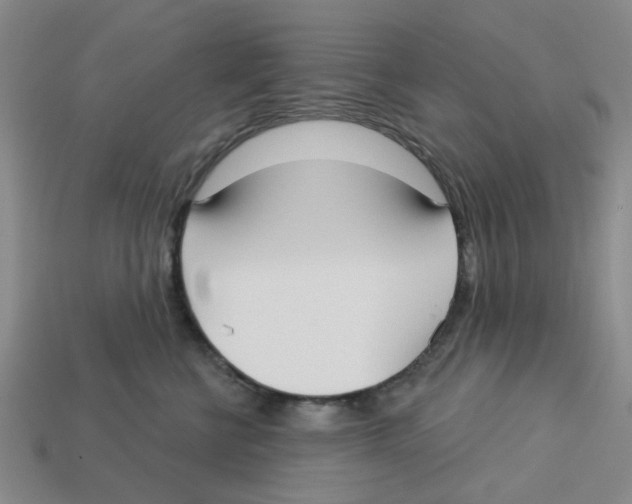 X0000113180570200910021545
