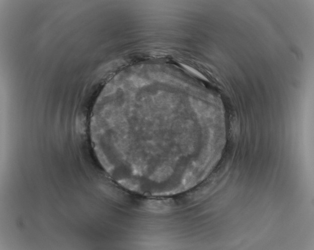 X0000113180571200910021545