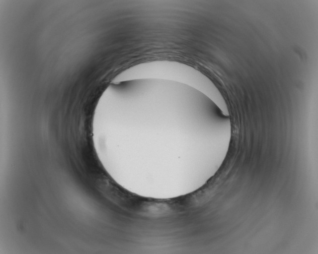X0000113180572200910021545