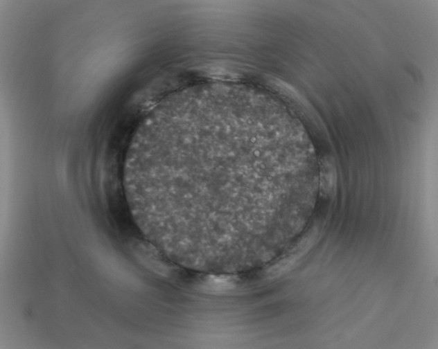 X0000113180573200910021545
