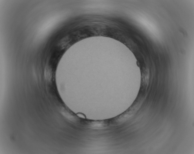 X0000113180574200910021545