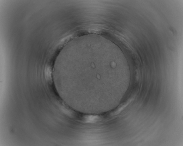 X0000113180575200910021545