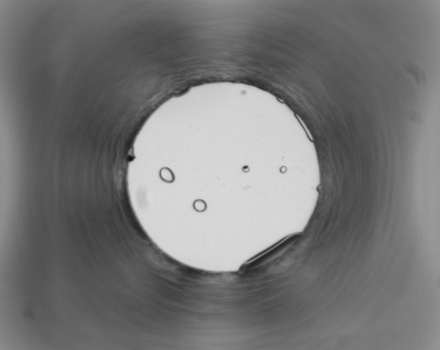 X0000113180576200910021545