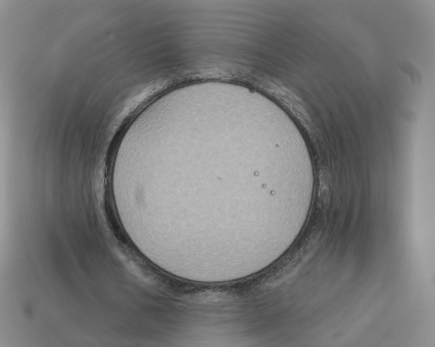 X0000113180578200910021545