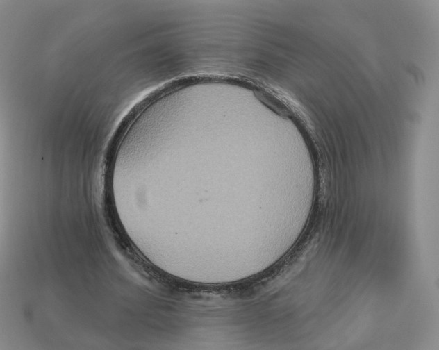 X0000113180580200910021545