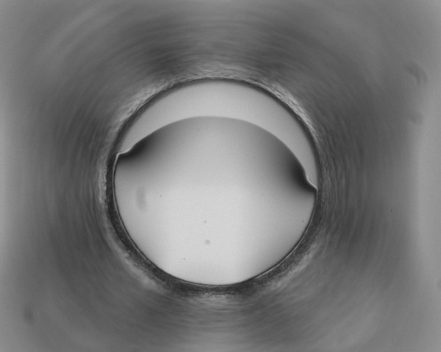 X0000113180581200910021545