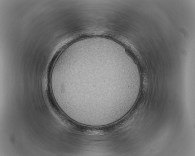 X0000113180582200910021545