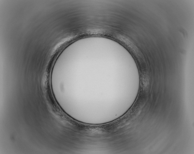 X0000113180583200910021545