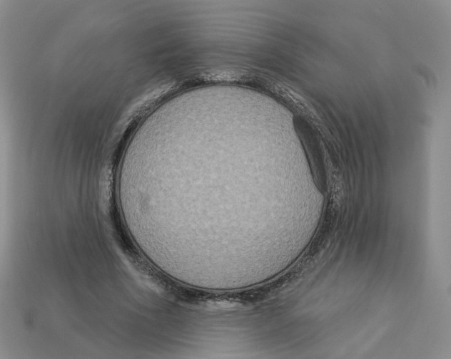 X0000113180586200910021545