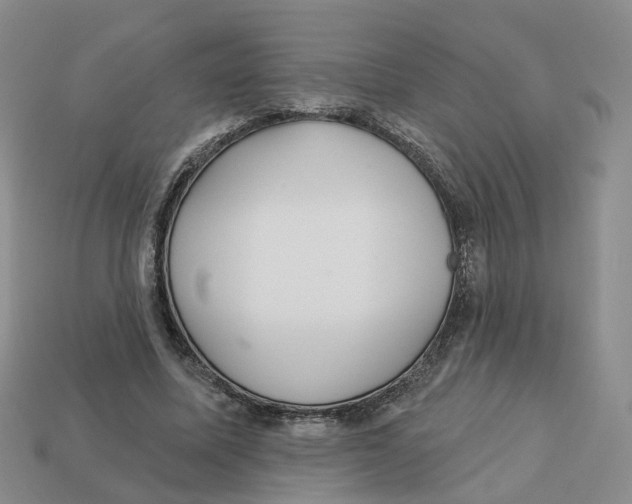 X0000113180587200910021545