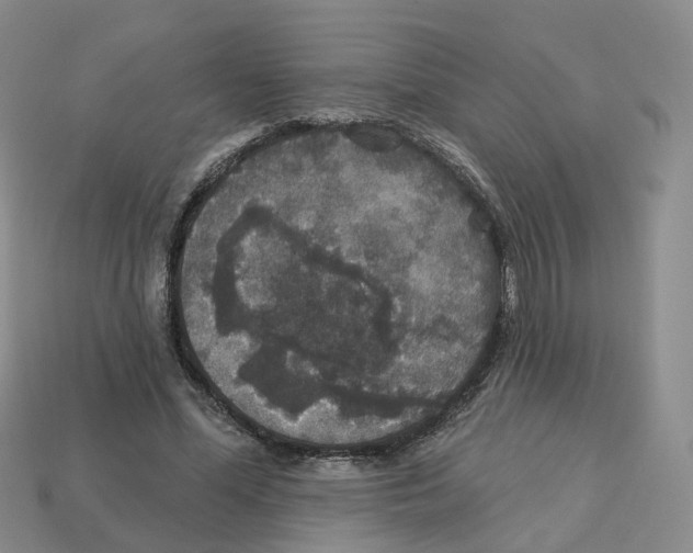 X0000113180588200910021545