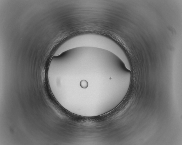X0000113180589200910021545