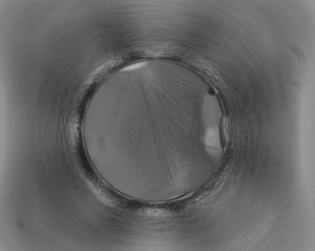 X0000113180590200910021545