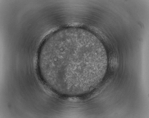 X0000113180591200910021545