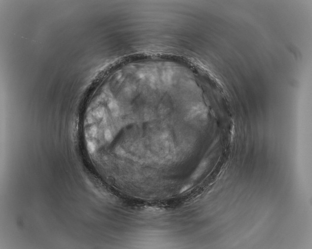 X0000113180592200910021545