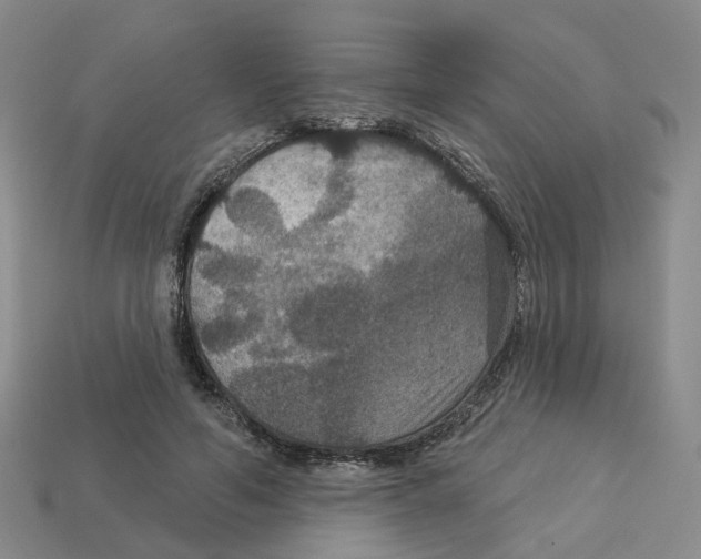 X0000113180594200910021545