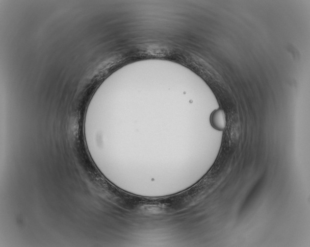 X0000113180595200910021545