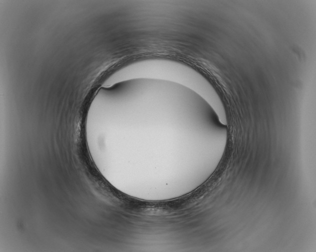 X0000113180596200910021545