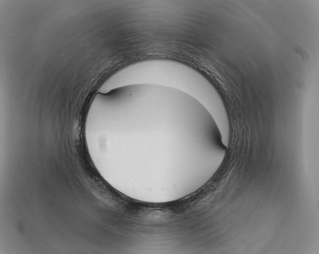 X0000113180597200910021545