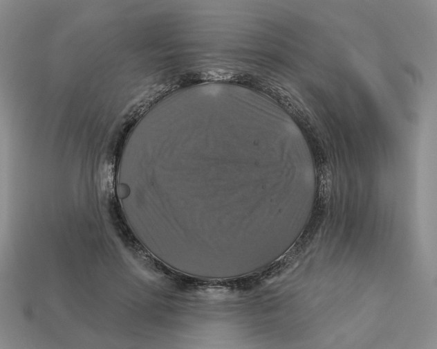 X0000113180598200910021544