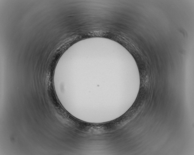 X0000113180599200910021544