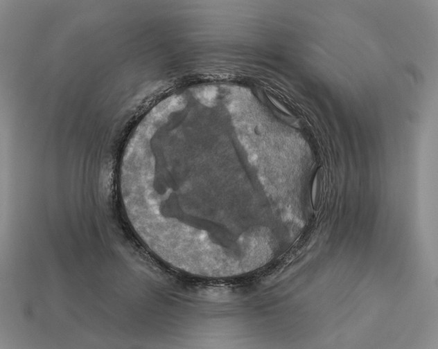 X0000113180600200910021544