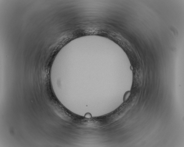 X0000113180601200910021544