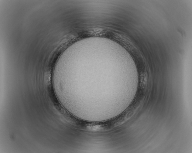 X0000113180602200910021544