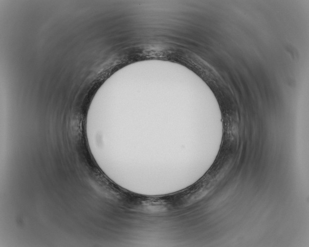 X0000113180603200910021544