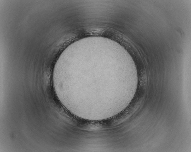 X0000113180604200910021544
