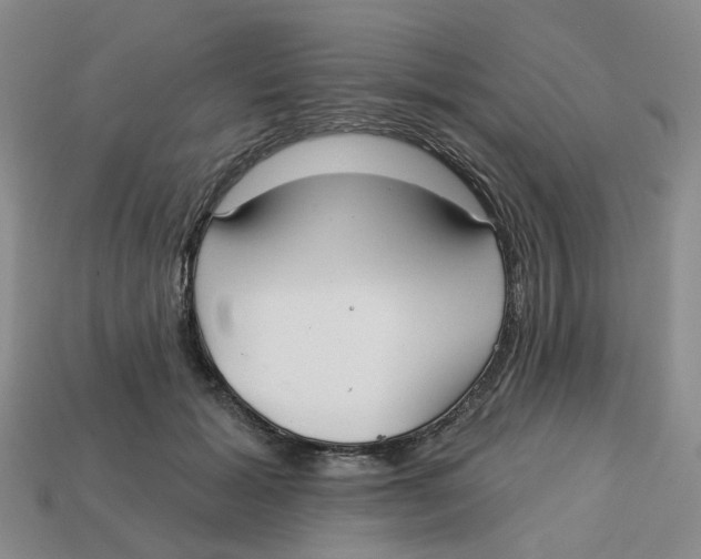 X0000113180605200910021544