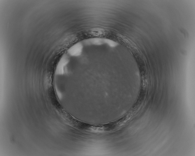 X0000113180606200910021544